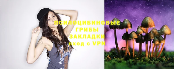 гидропоника Горнозаводск