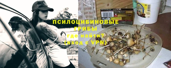гидропоника Горнозаводск